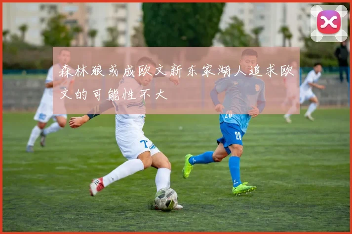 森林狼或成欧文新东家湖人追求欧文的可能性不大