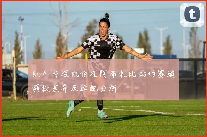 红牛与迈凯伦在阿布扎比站的赛道调校差异及适配分析